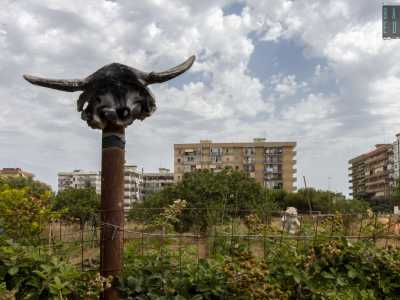 Ci colpisce in particolare un orto, sorvegliato da un teschio di un caprone...